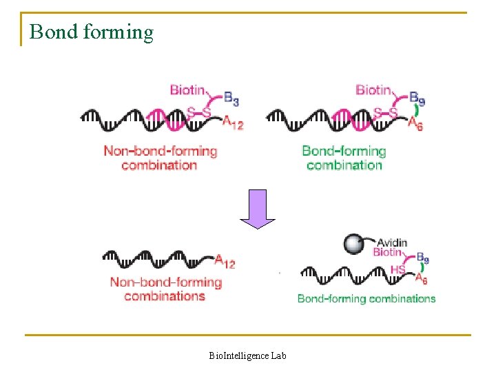 Bond forming Bio. Intelligence Lab 