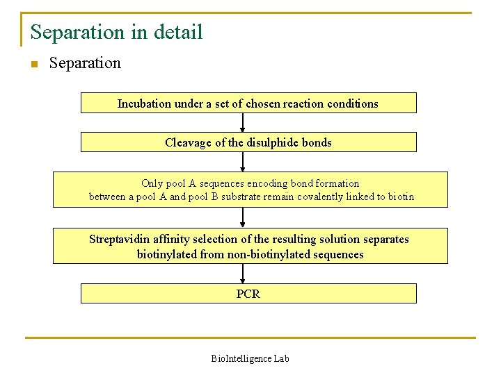 Separation in detail n Separation Incubation under a set of chosen reaction conditions Cleavage