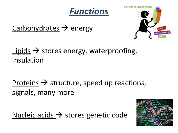 Functions Carbohydrates energy Lipids stores energy, waterproofing, insulation Proteins structure, speed up reactions, signals,
