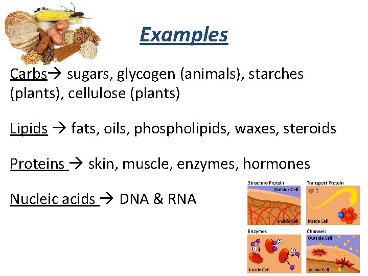 BIOMOLECULES Carbon C hydrogen H and oxygen O