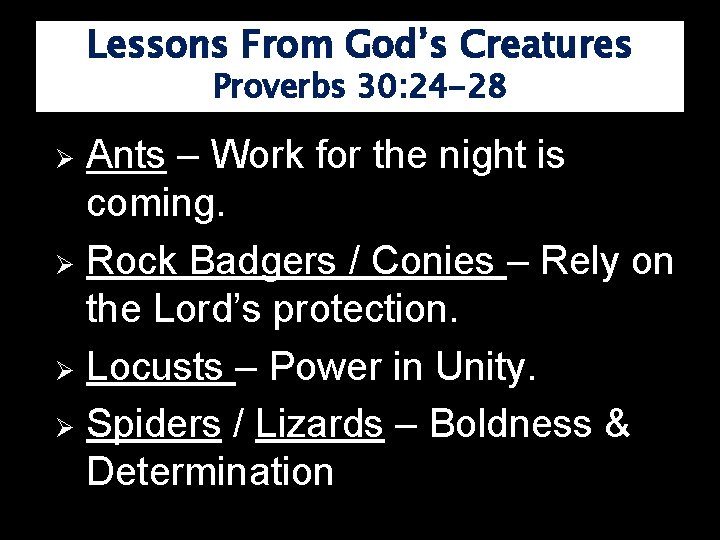 Lessons From God’s Creatures Proverbs 30: 24 -28 Ants – Work for the night