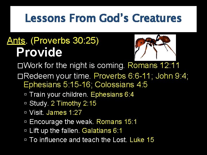 Lessons From God’s Creatures Ants. (Proverbs 30: 25) Provide �Work for the night is