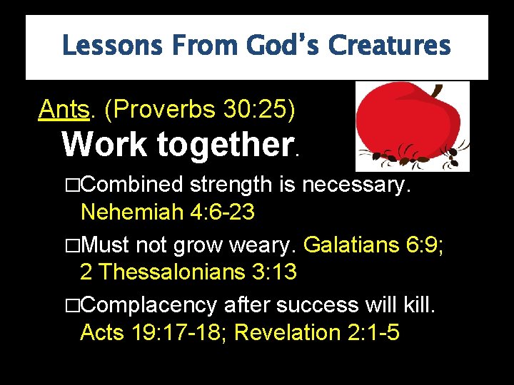 Lessons From God’s Creatures Ants. (Proverbs 30: 25) Work together. �Combined strength is necessary.