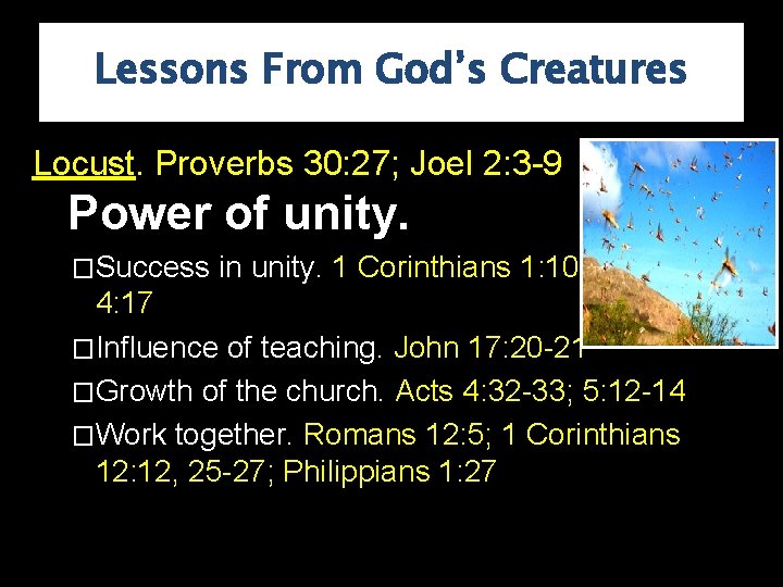 Lessons From God’s Creatures Locust. Proverbs 30: 27; Joel 2: 3 -9 Power of