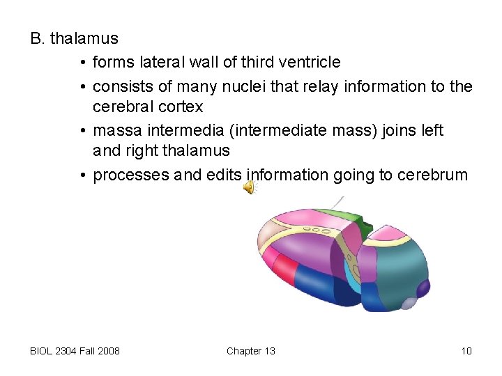 B. thalamus • forms lateral wall of third ventricle • consists of many nuclei