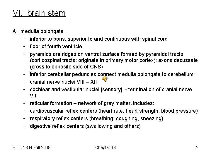 VI. brain stem A. medulla oblongata • inferior to pons; superior to and continuous