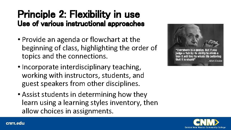 Principle 2: Flexibility in use Use of various instructional approaches • Provide an agenda