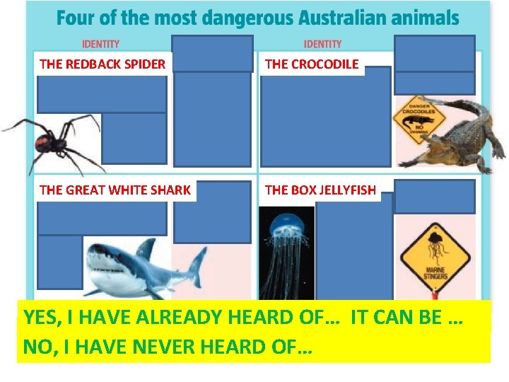 THE REDBACK SPIDER THE CROCODILE THE GREAT WHITE SHARK THE BOX JELLYFISH YES, I