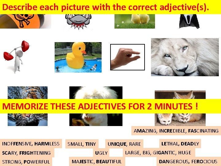 Describe each picture with the correct adjective(s). MEMORIZE THESE ADJECTIVES FOR 2 MINUTES !