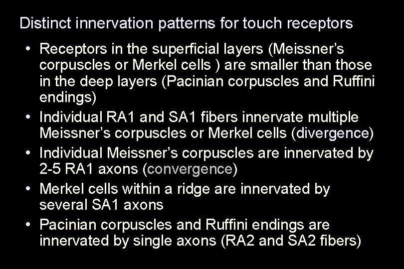 Distinct innervation patterns for touch receptors • Receptors in the superficial layers (Meissner’s •