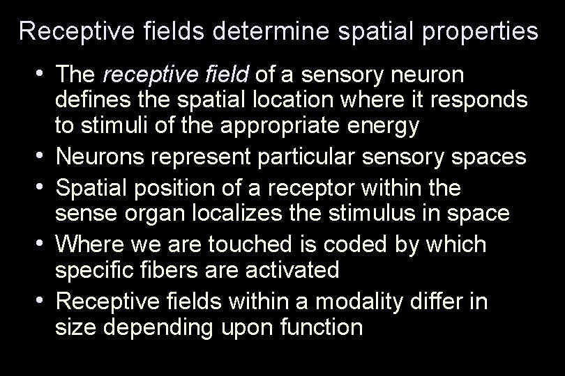 Receptive fields determine spatial properties • The receptive field of a sensory neuron •