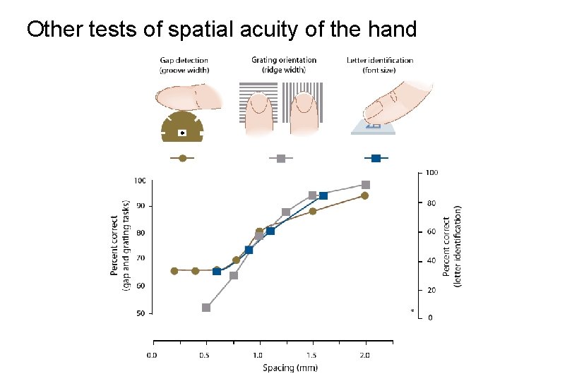 Other tests of spatial acuity of the hand 