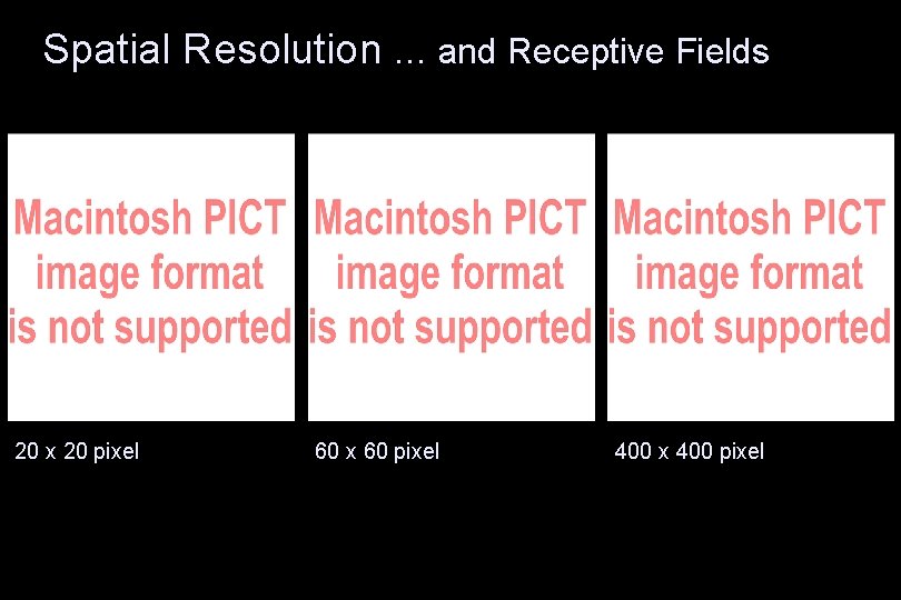 Spatial Resolution … and Receptive Fields 20 x 20 pixel 60 x 60 pixel