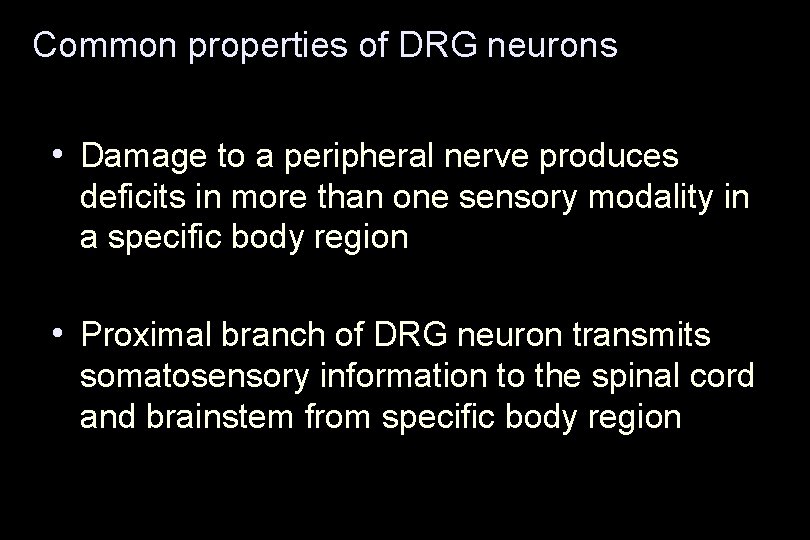 Common properties of DRG neurons • Damage to a peripheral nerve produces deficits in