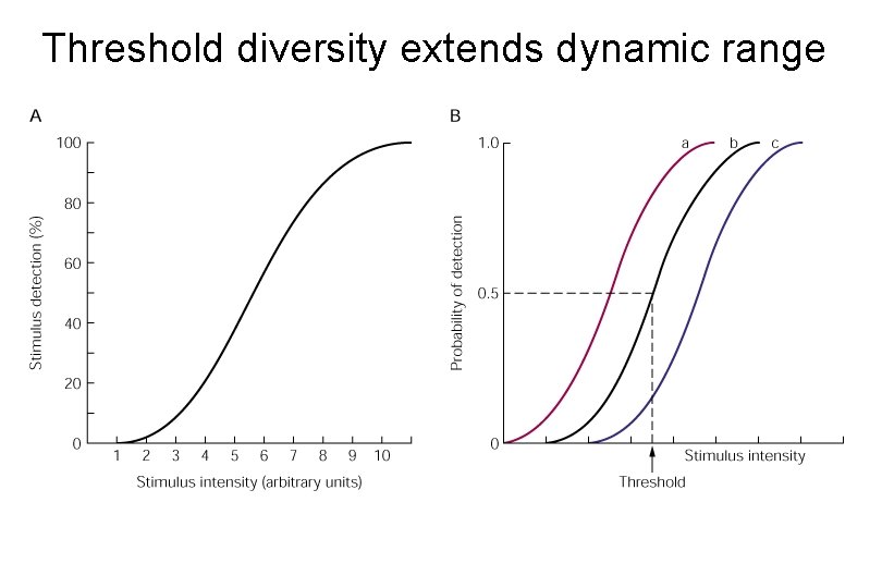 Threshold diversity extends dynamic range 