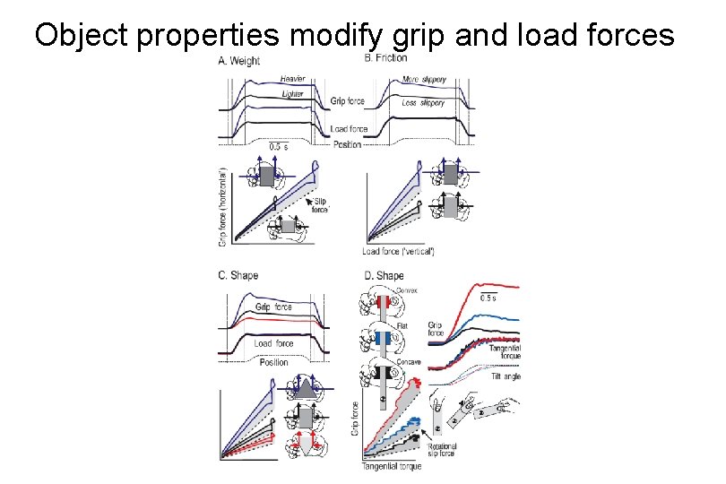 Object properties modify grip and load forces 