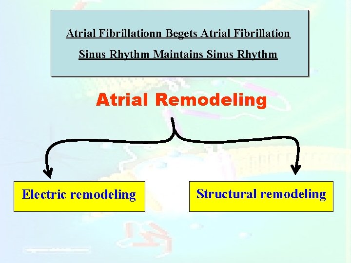 Atrial Fibrillationn Begets Atrial Fibrillation Sinus Rhythm Maintains Sinus Rhythm Atrial Remodeling Electric remodeling