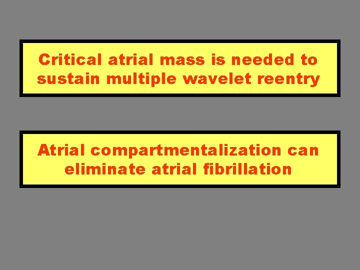 Multiple wavelet reentry Critical atrial mass is needed to sustain multiple wavelet reentry Atrial