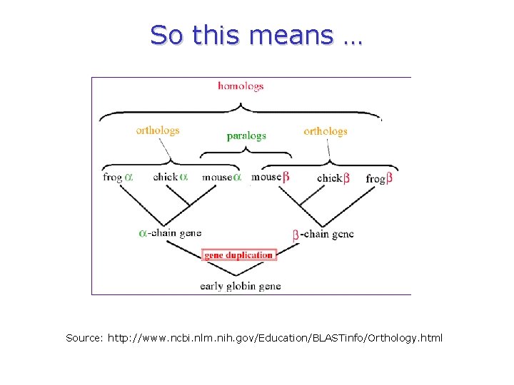 So this means … Source: http: //www. ncbi. nlm. nih. gov/Education/BLASTinfo/Orthology. html 