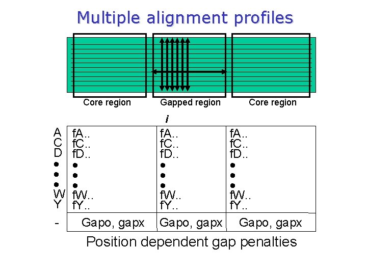Multiple alignment profiles Core region Gapped region Core region i A C D W