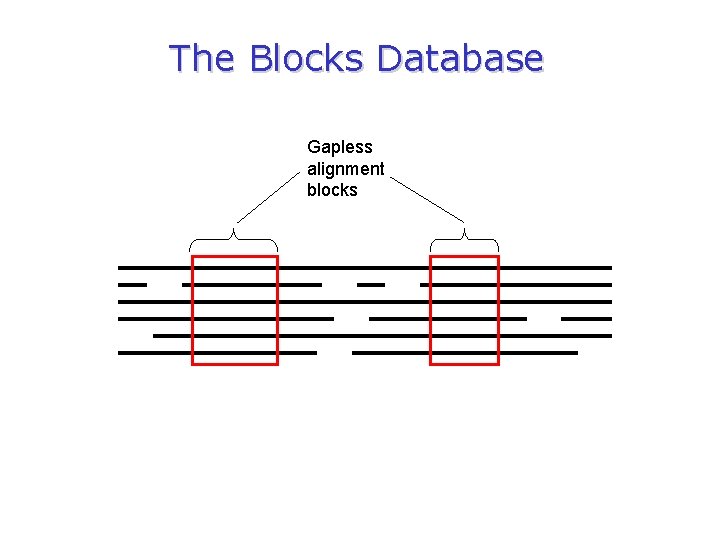 The Blocks Database Gapless alignment blocks 