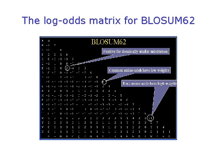 The log-odds matrix for BLOSUM 62 