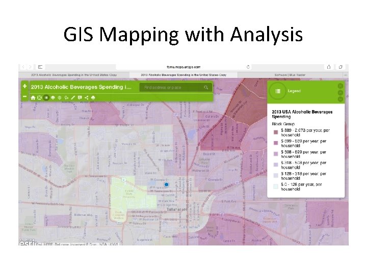 GIS Mapping with Analysis 