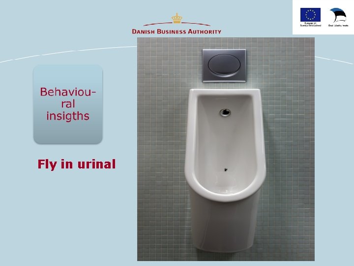 Fly in urinal 