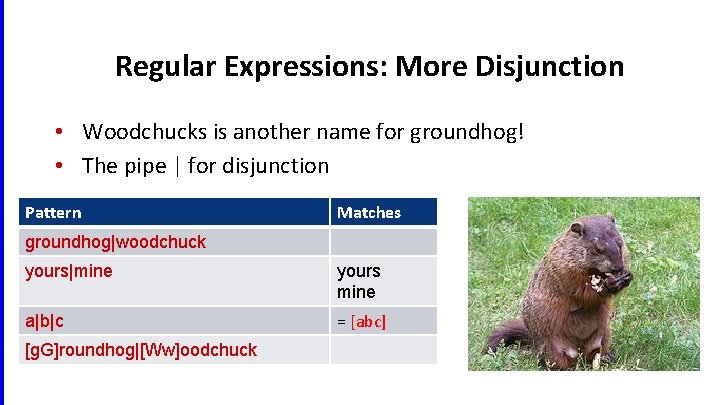 Regular Expressions: More Disjunction • Woodchucks is another name for groundhog! • The pipe