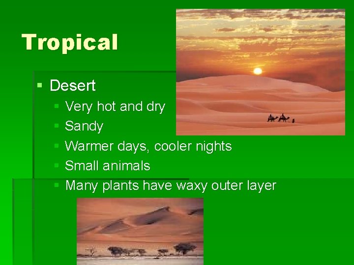 Tropical § Desert § Very hot and dry § Sandy § Warmer days, cooler
