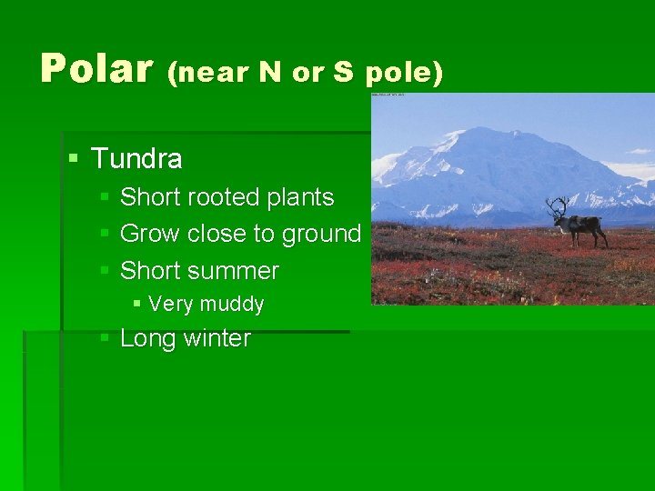 Polar (near N or S pole) § Tundra § Short rooted plants § Grow