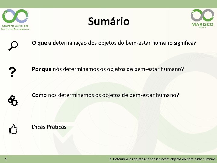 Sumário O que a determinação dos objetos do bem-estar humano significa? ? Por que