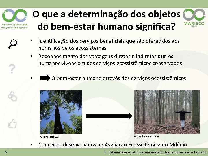 O que a determinação dos objetos do bem-estar humano significa? ? • Identificação dos