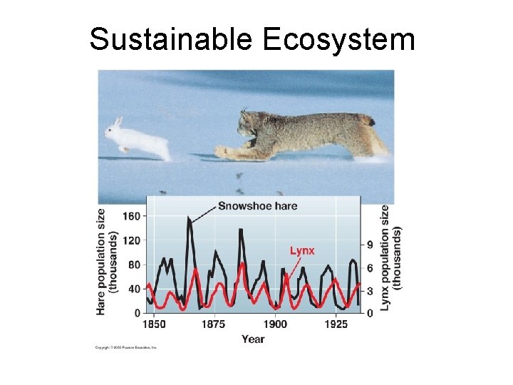 Sustainable Ecosystem 