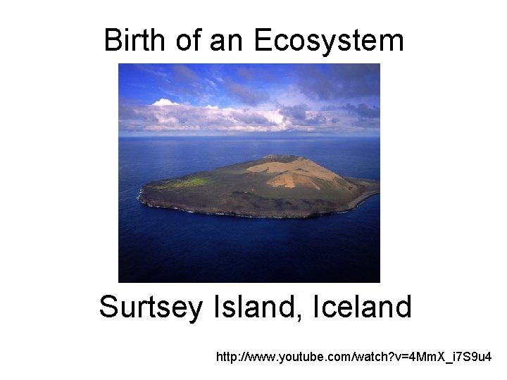 Birth of an Ecosystem Surtsey Island, Iceland http: //www. youtube. com/watch? v=4 Mm. X_i