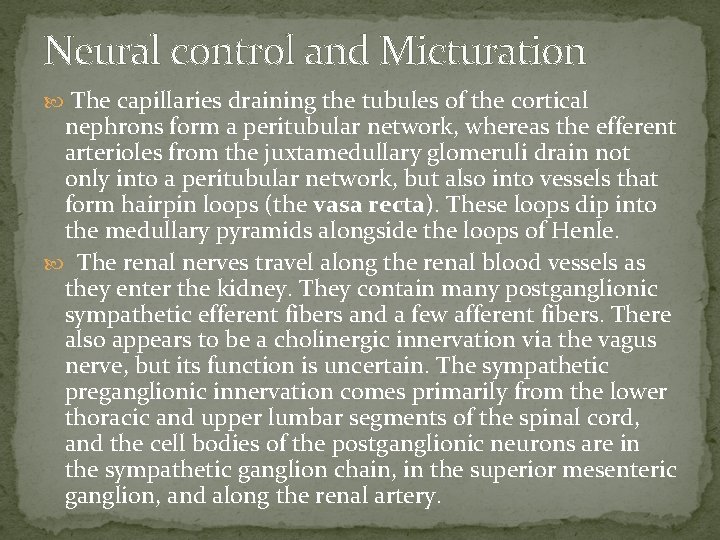 Neural control and Micturation The capillaries draining the tubules of the cortical nephrons form