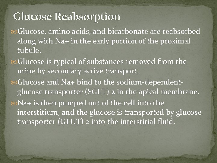 Glucose Reabsorption Glucose, amino acids, and bicarbonate are reabsorbed along with Na+ in the