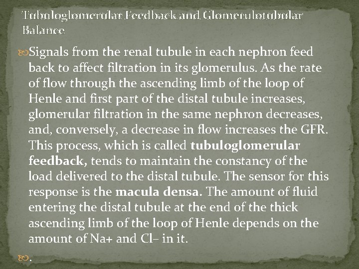 Tubuloglomerular Feedback and Glomerulotubular Balance Signals from the renal tubule in each nephron feed