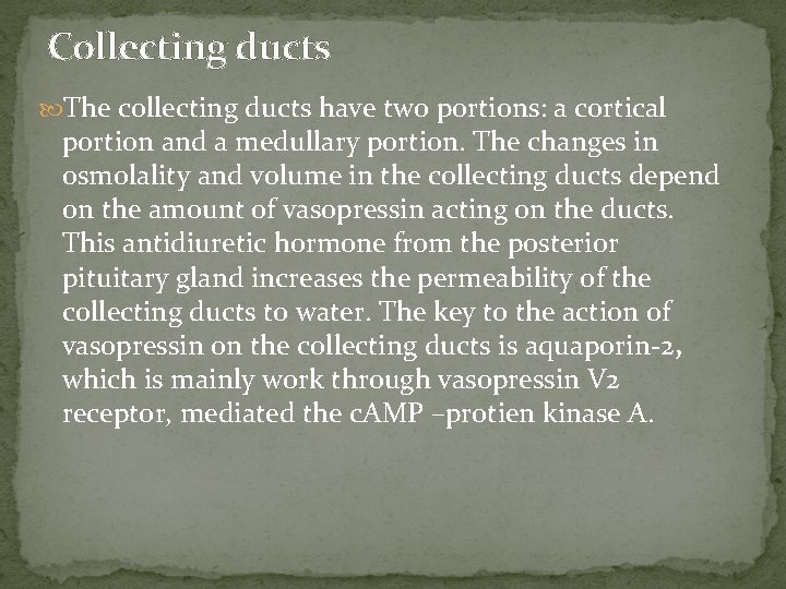 Collecting ducts The collecting ducts have two portions: a cortical portion and a medullary