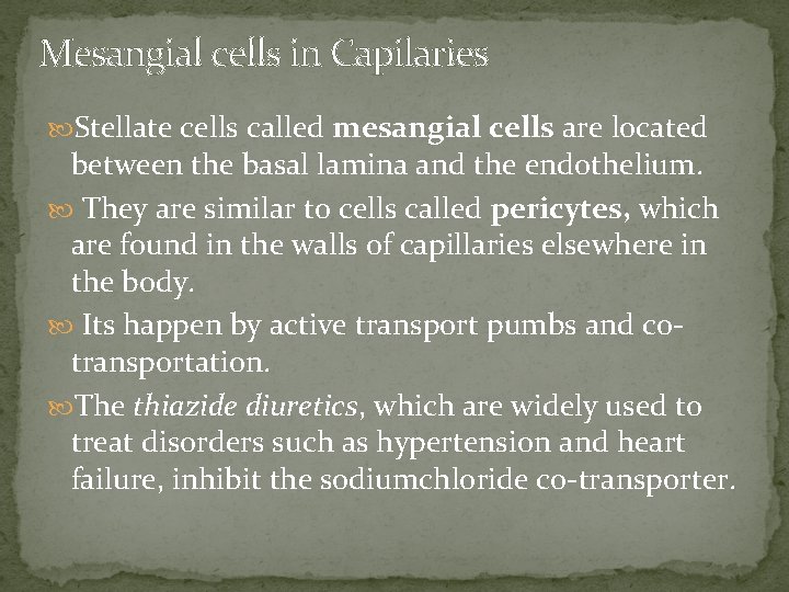 Mesangial cells in Capilaries Stellate cells called mesangial cells are located between the basal