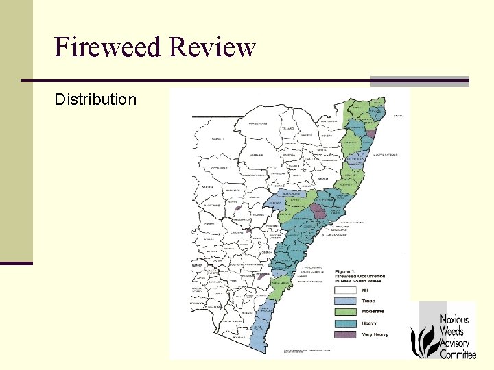 Fireweed Review Distribution 