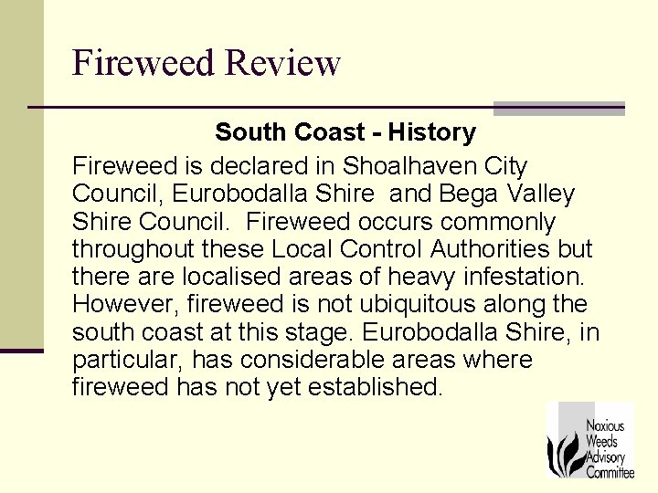 Fireweed Review South Coast - History Fireweed is declared in Shoalhaven City Council, Eurobodalla