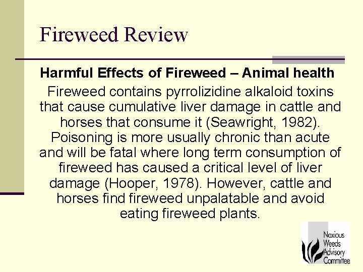 Fireweed Review Harmful Effects of Fireweed – Animal health Fireweed contains pyrrolizidine alkaloid toxins