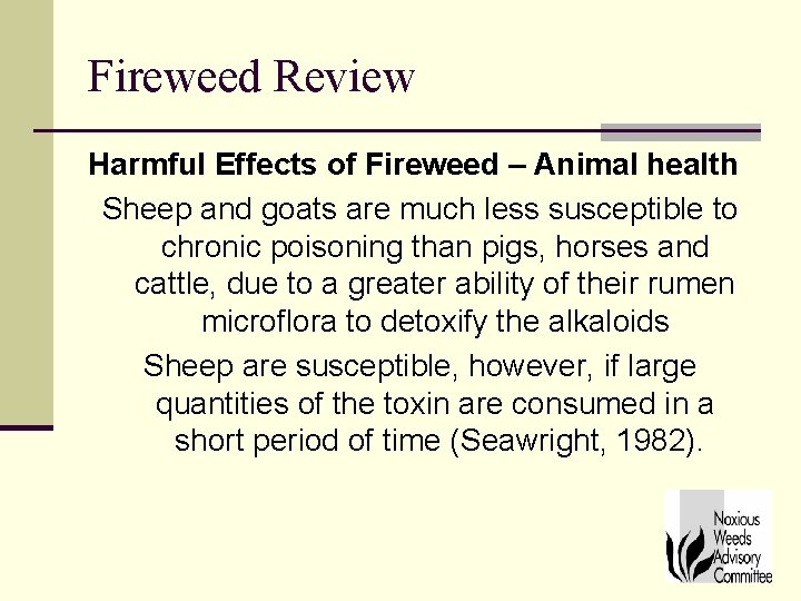 Fireweed Review Harmful Effects of Fireweed – Animal health Sheep and goats are much