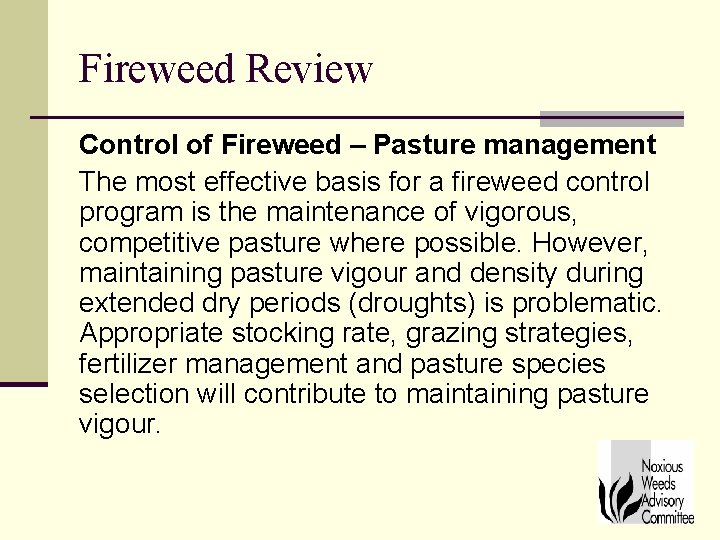 Fireweed Review Control of Fireweed – Pasture management The most effective basis for a