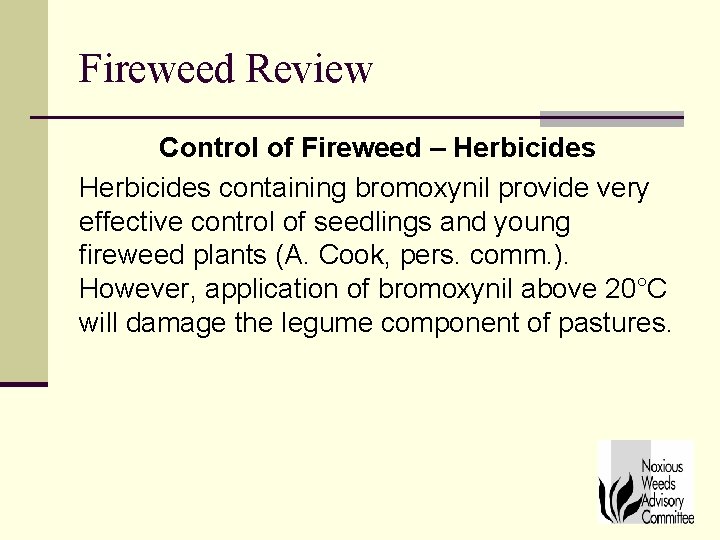 Fireweed Review Control of Fireweed – Herbicides containing bromoxynil provide very effective control of