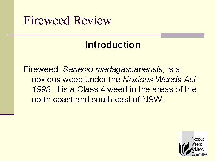 Fireweed Review Introduction Fireweed, Senecio madagascariensis, is a noxious weed under the Noxious Weeds