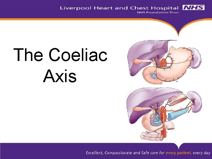 The Coeliac Axis 