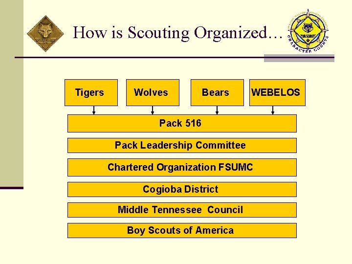 How is Scouting Organized… Tigers Wolves Bears WEBELOS Pack 516 Pack Leadership Committee Chartered