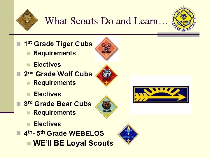 What Scouts Do and Learn… n 1 st Grade Tiger Cubs n Requirements n